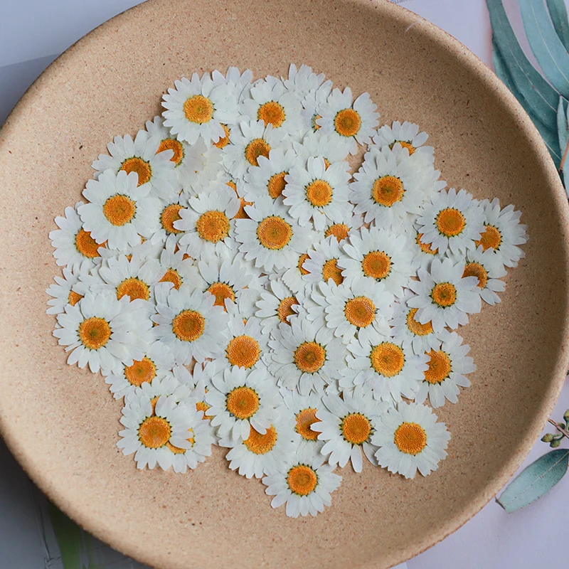 60 x gepresste getrocknete nat – Dried Flower Bookmark Bewertung und Preis