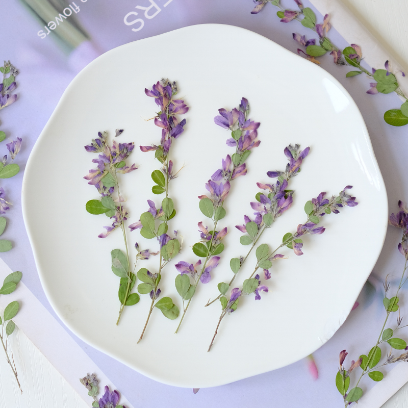 6 Stück, natürliche getrocknet – Dried Flower Bookmark Bewertung und Preis