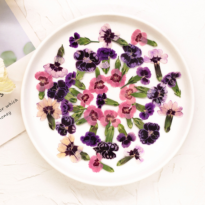 24 Stück, gepresste getrocknet – Dried Flower Bookmark Bewertung und Preis
